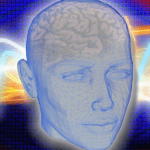 methylfenidaat en hersenen